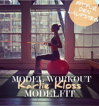 Model Workout: Modelfit