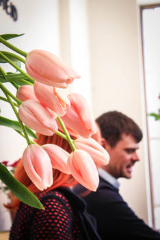 Im Pop-Up Flower Shop von Mark Colle in Maasmechelen