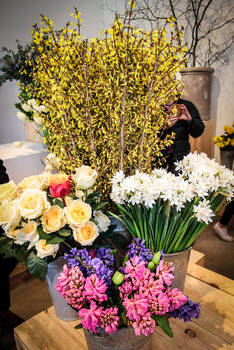 Im Pop-Up Flower Shop von Mark Colle in Maasmechelen